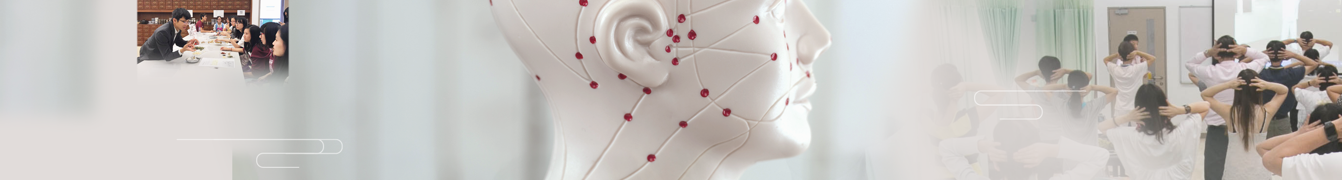 top-banner-student_n_alu